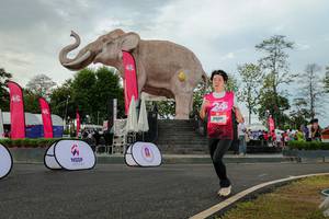 BIB: 
                            <button type="button" onclick="openModal(26528496)" class="btn btn-primary btn-sm float-right btn-popup" data-toggle="modal" data-target=".modal-high-quality">
                        <i class="fas fa-shopping-cart"></i> Add to Cart
                    </button>
                                            <button type="button" onclick="isThisMe(26528496, true)" class="btn btn-success btn-sm float-right btn-popup btn-isme hidden" data-toggle="tooltip" data-placement="bottom" title="นี่คือรูปของคุณใช่ไหม คลิกที่นี่เพื่อเอาเข้าอัลบั้ม">
                        <i class="fas fa-plus"></i> Add to album
                    </button>
                    <button type="button" onclick="isThisMe(26528496, false)" class="btn btn-warning btn-sm float-right btn-popup btn-isnotme hidden">
                        <i class="fas fa-ban"></i> Remove from album
                    </button>